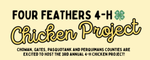 Cover photo for Four Feathers 4-H Chicken Project